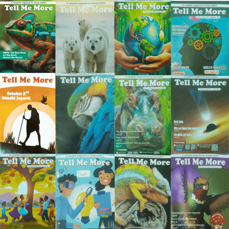 Tell Me More Magazine Dozen copies