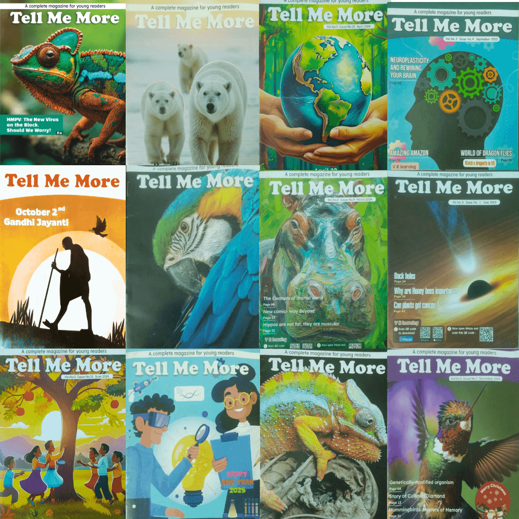 Tell Me More Magazine Dozen copies