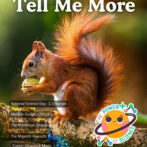 Tell me more magazine