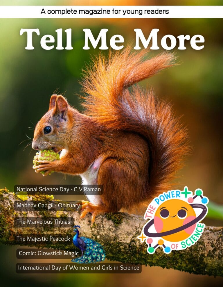 Tell me more magazine