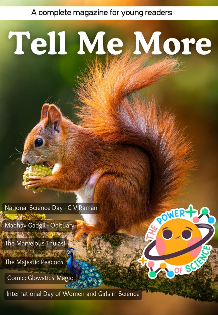 Tell me more magazine